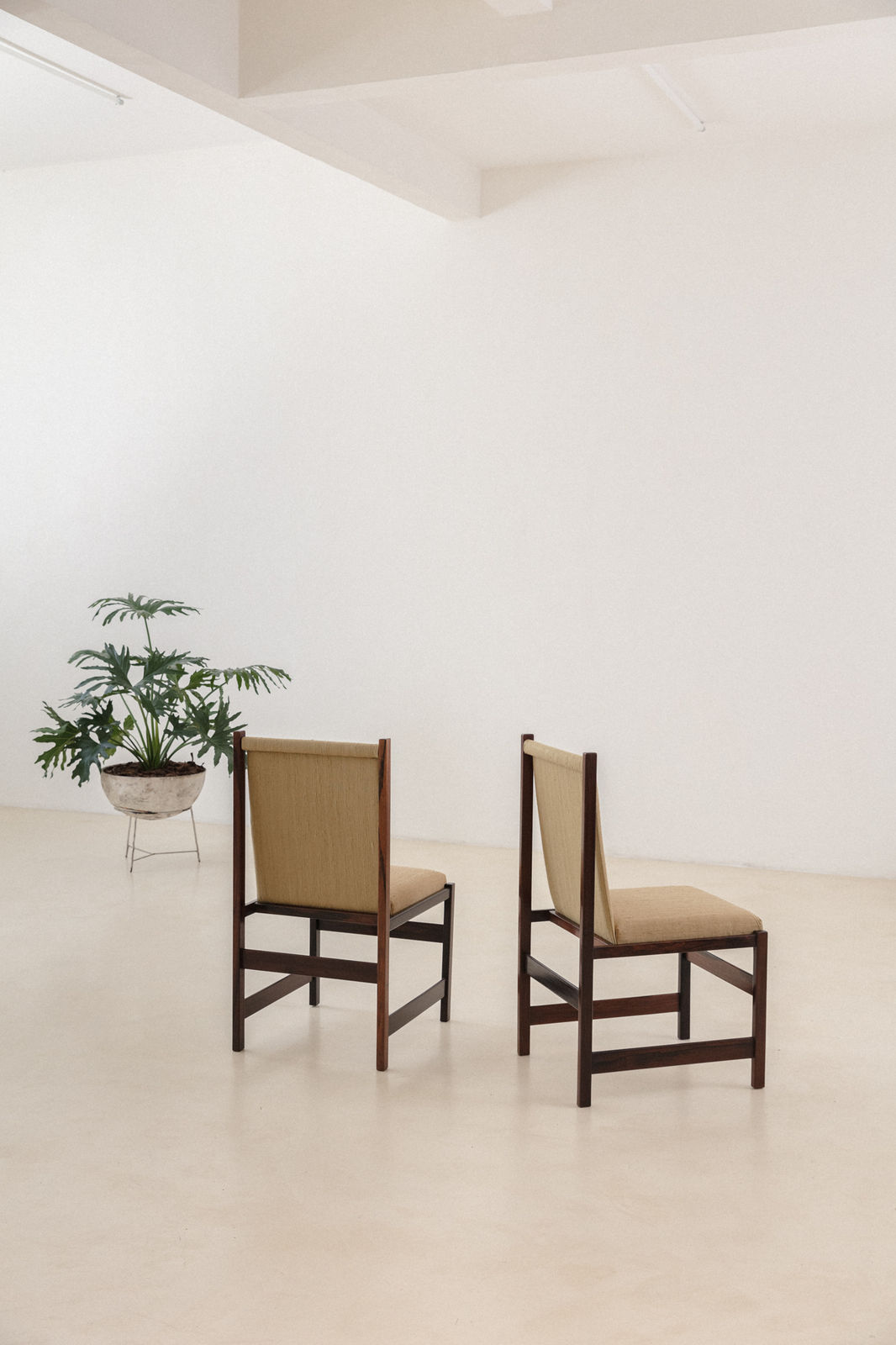 Celina Decorações, Rosewood Dining Chairs (4 units), 1960s