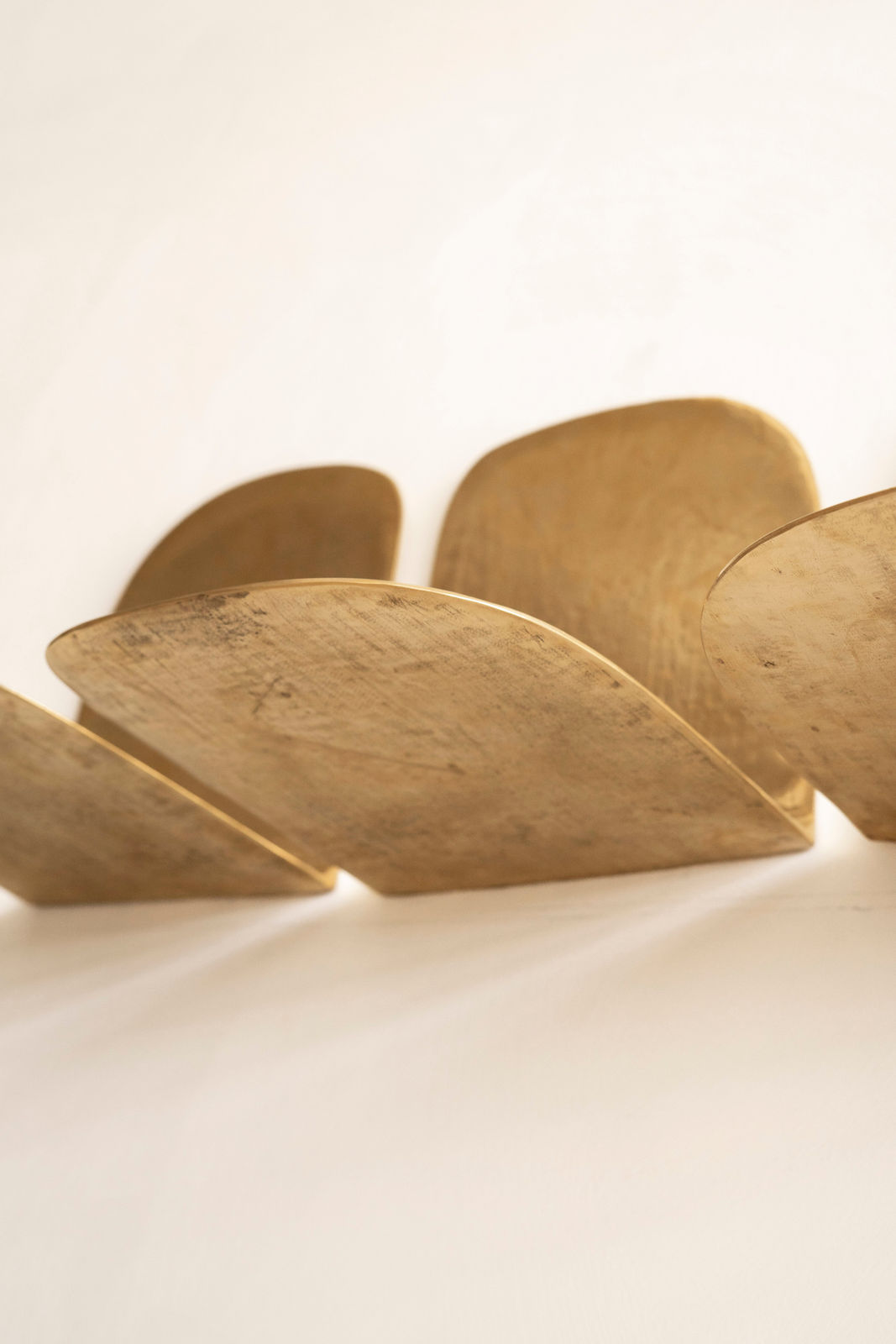 Lucas Recchia, Lamina #5, 2025