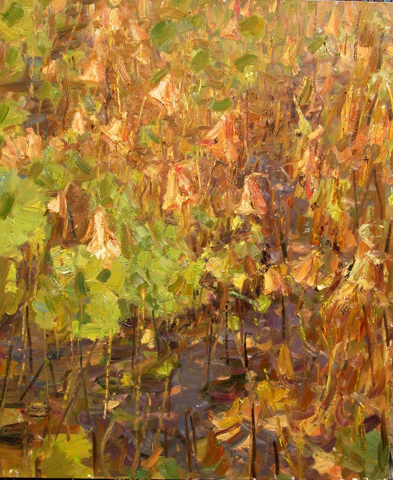 Liang Liqiang 梁力強, Lotus in Autumn No.1, 2009