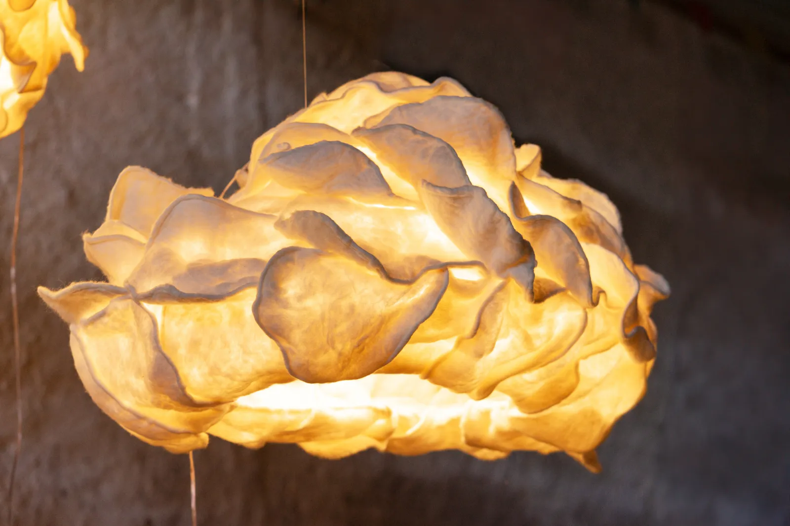 Tiago Braga - OIAMO, Suspension "Arandu Estelar" #03, 2024