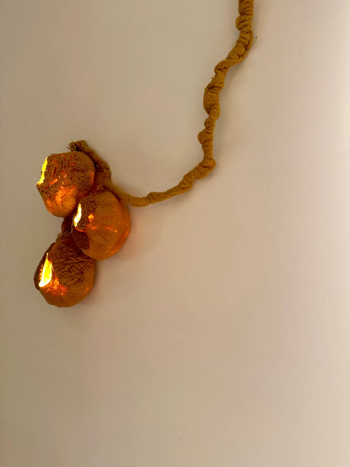 Tiago Braga - OIAMO, Suspension "Candeeiro Hornero Ocre", 2023