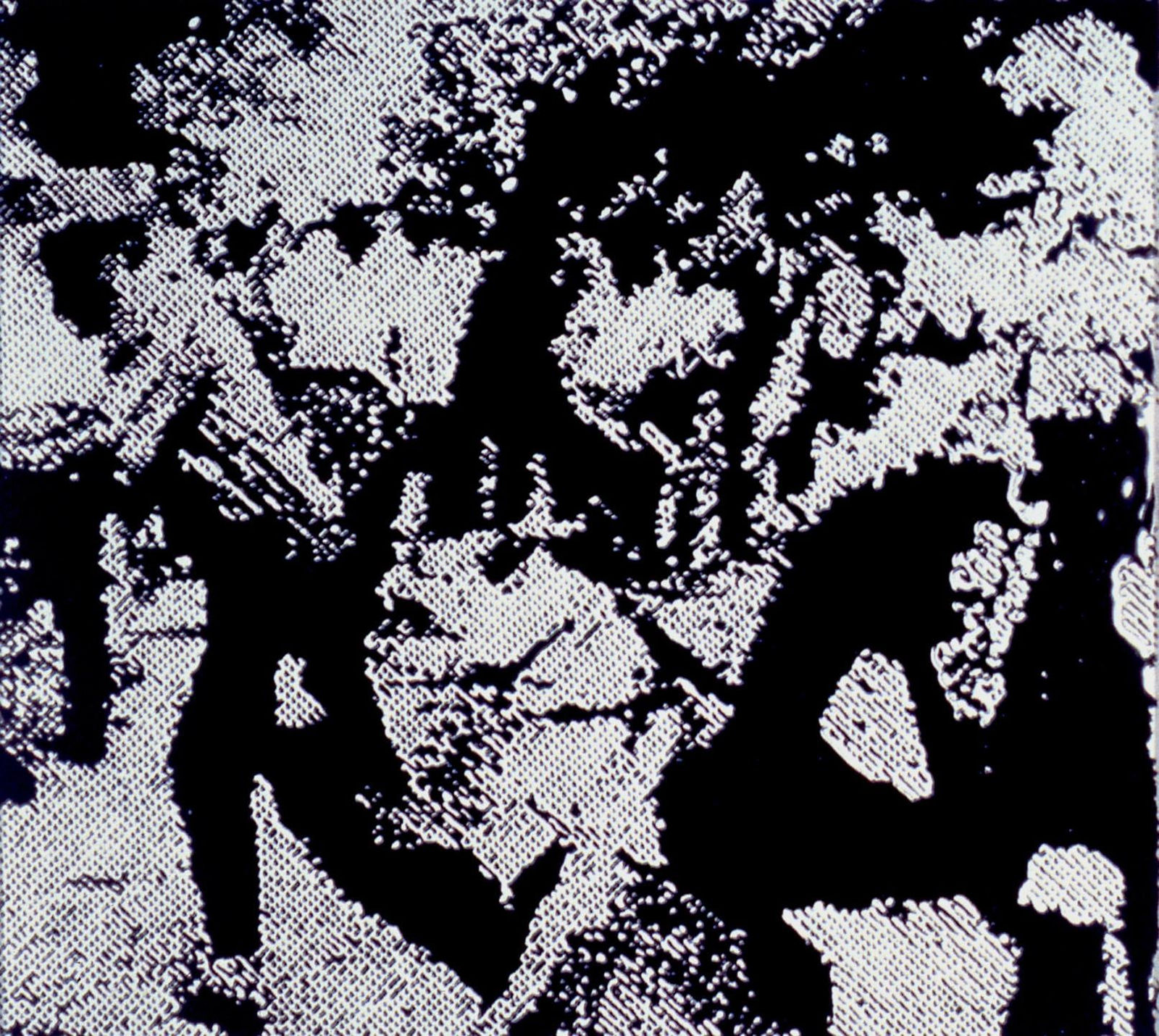 Vik Muniz, Race Riot / After Warhol, 2001