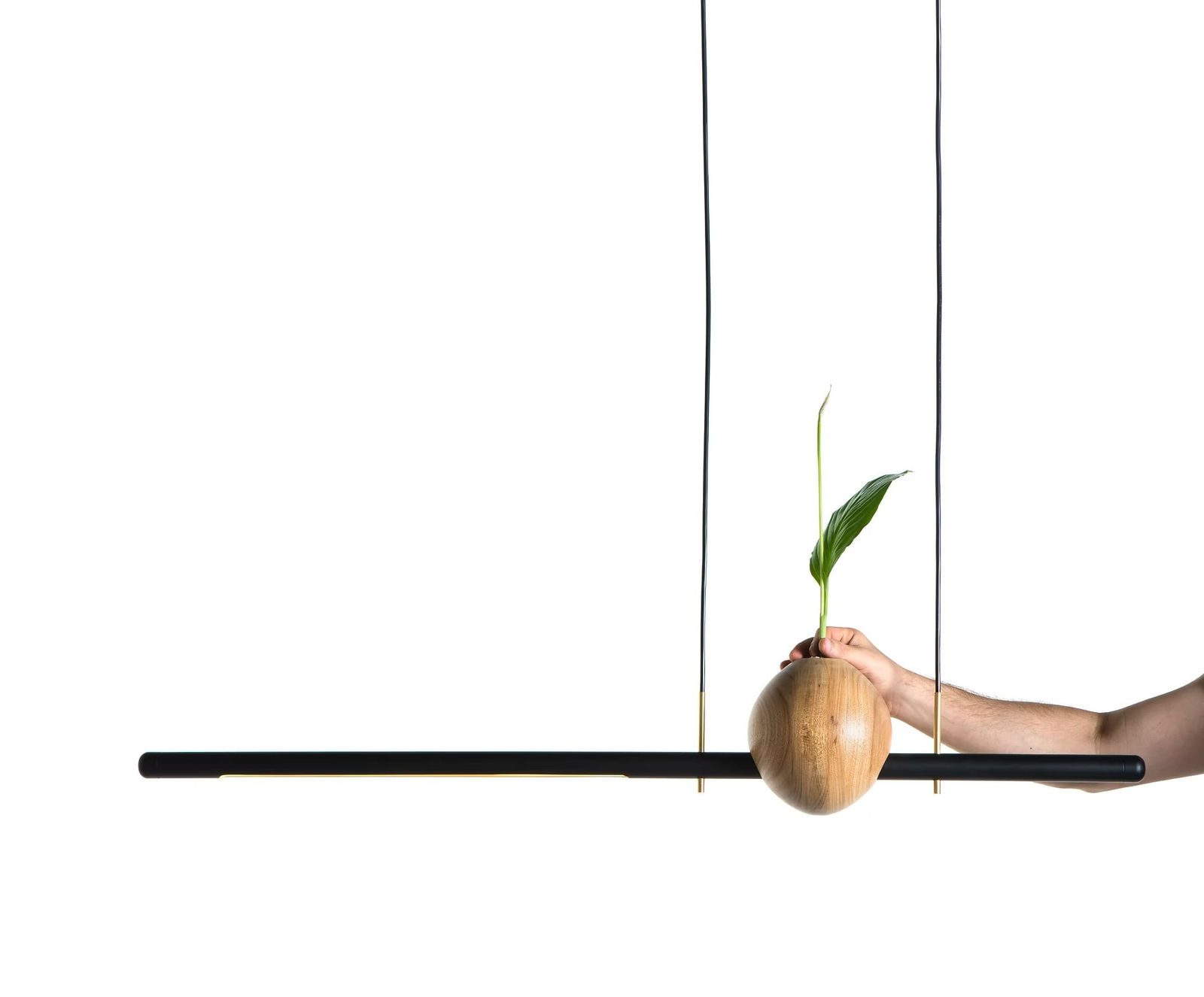 André Ferri, Suspension "Ninho", 2018