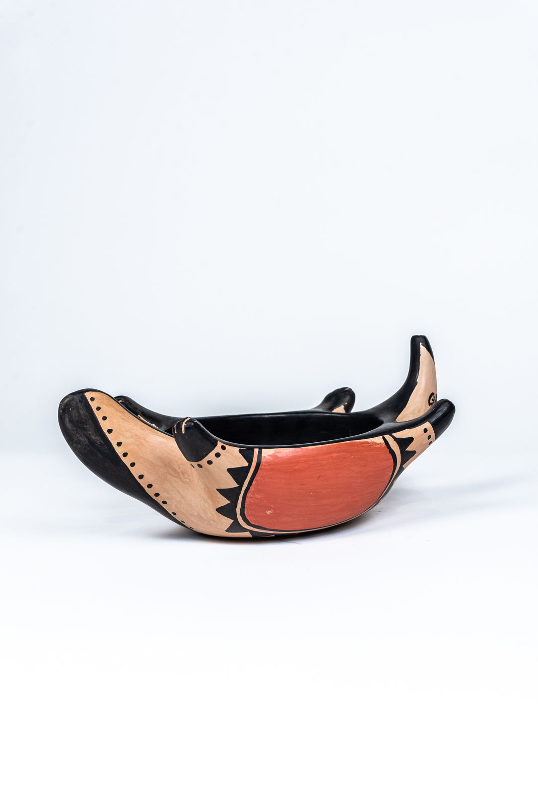 Taukana Regui Wauja, Céramique indigène , 2020