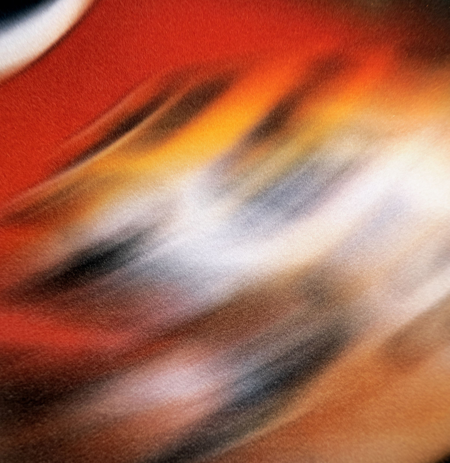 Ry David Bradley, -o0Ti, 2020, Shown at Brigade Gallery.