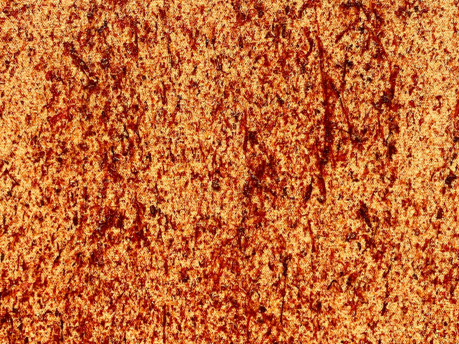 Garrett Pruter, 500 Photos of Fire, 2021, Shown at Brigade Gallery in Copenhagen, Denmark.