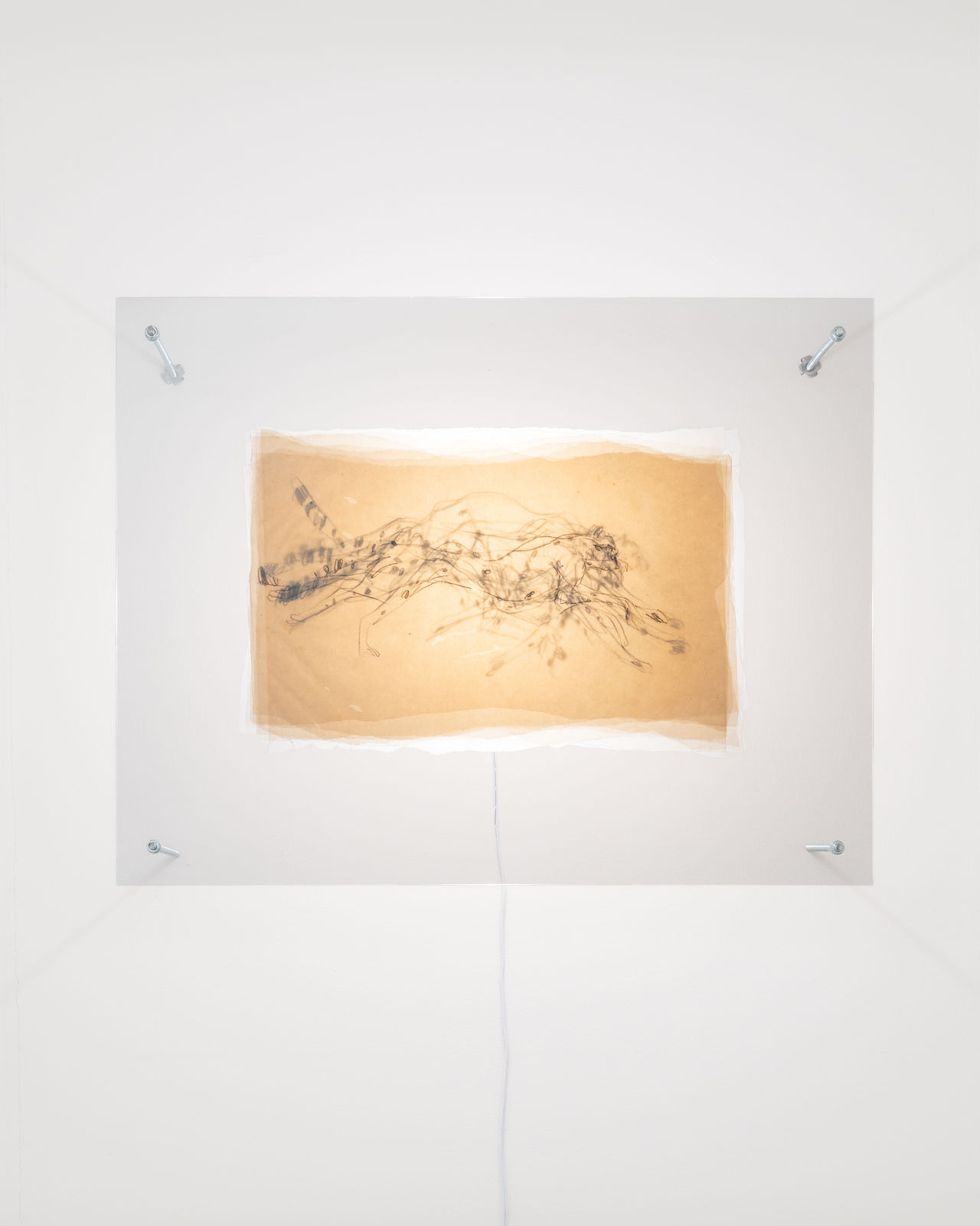 Yaily Matínez, 00:00:70, 2022, Shown by Brigade Gallery.