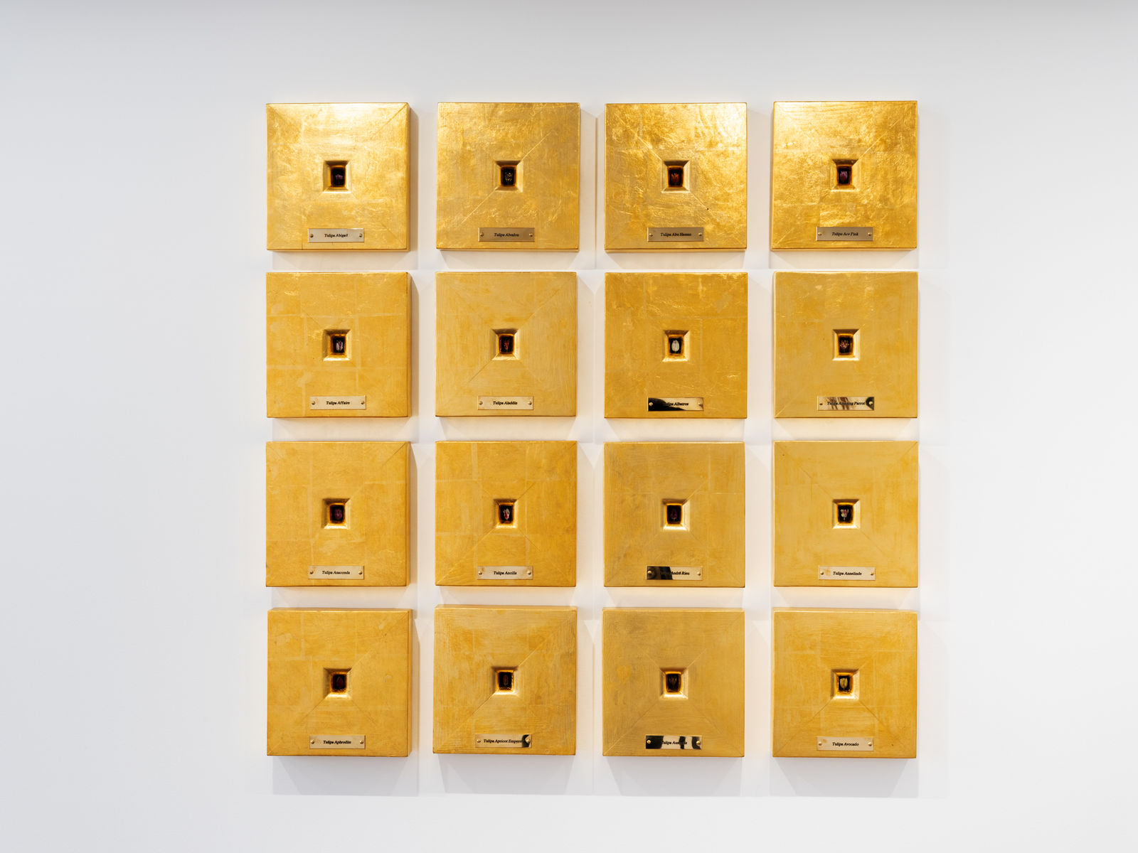 Dorus Tossijn, Tulips that start with the letter A, 2020-2025