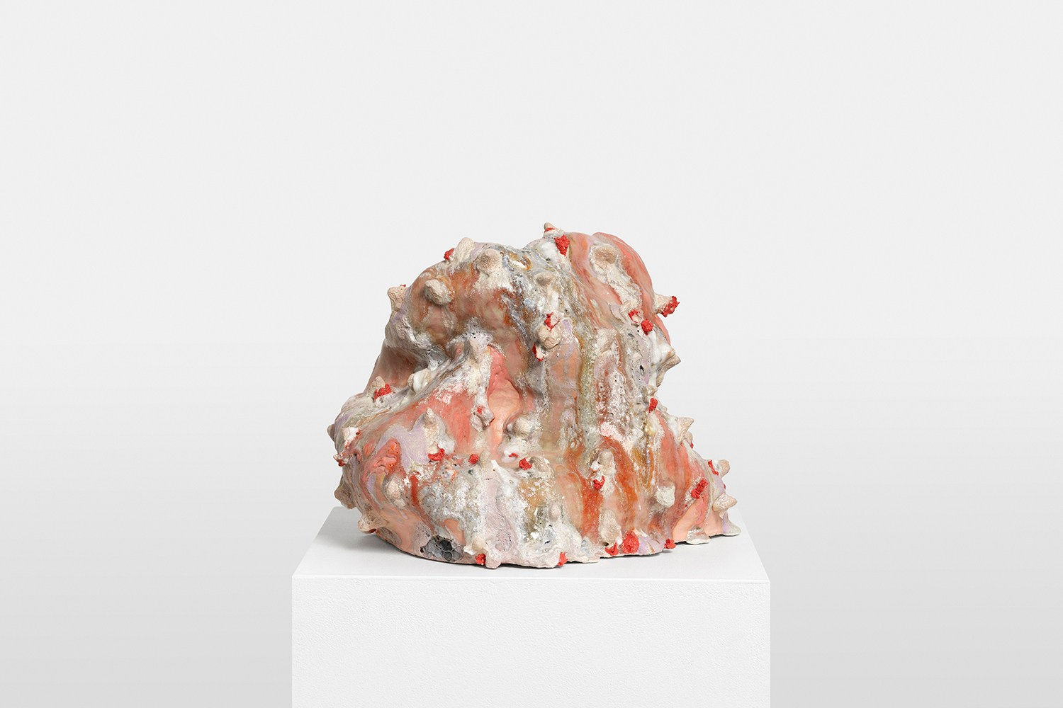 Emily Orta, Salinibacter, 2024