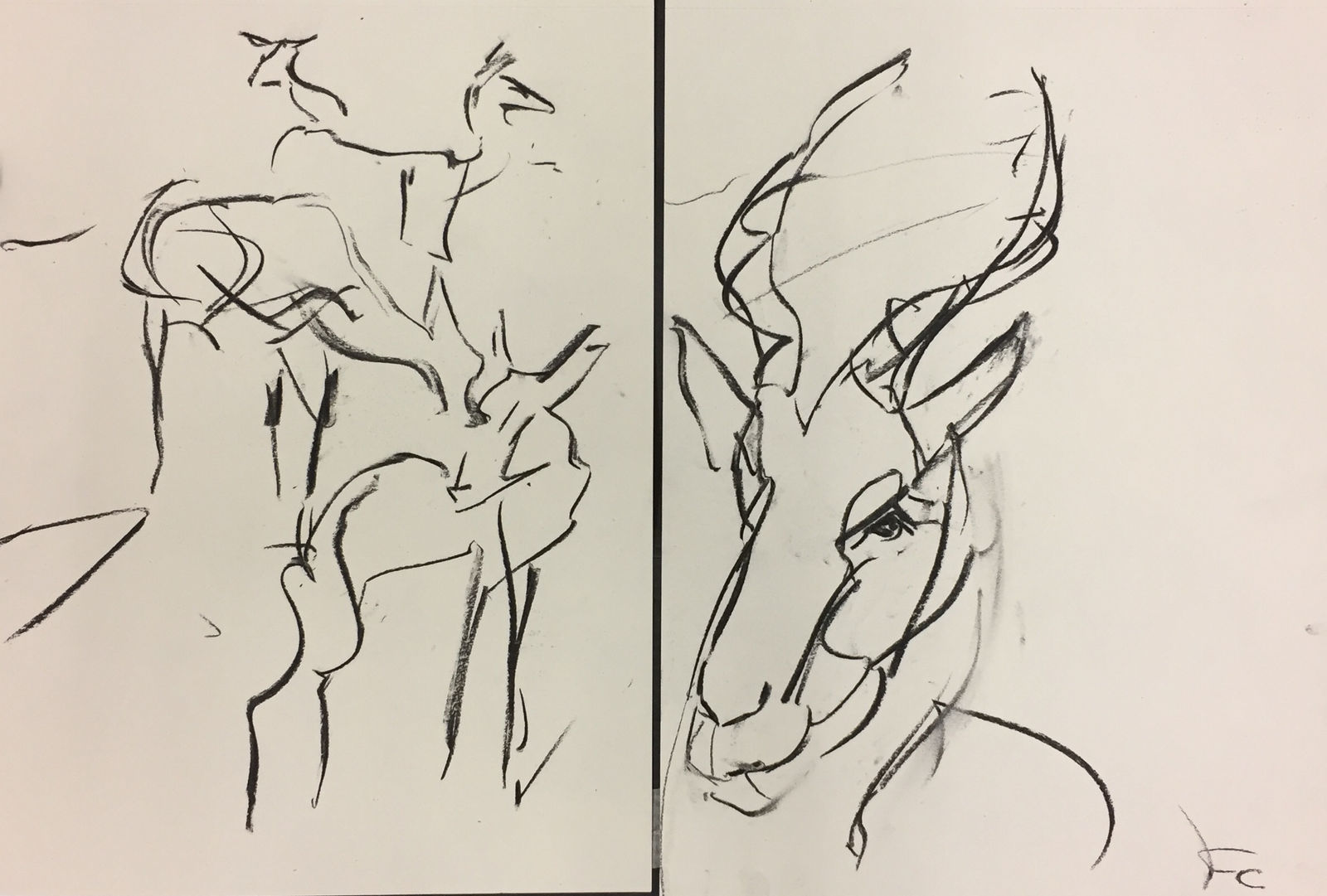 Fred Clark, Impala Guarding the Harem