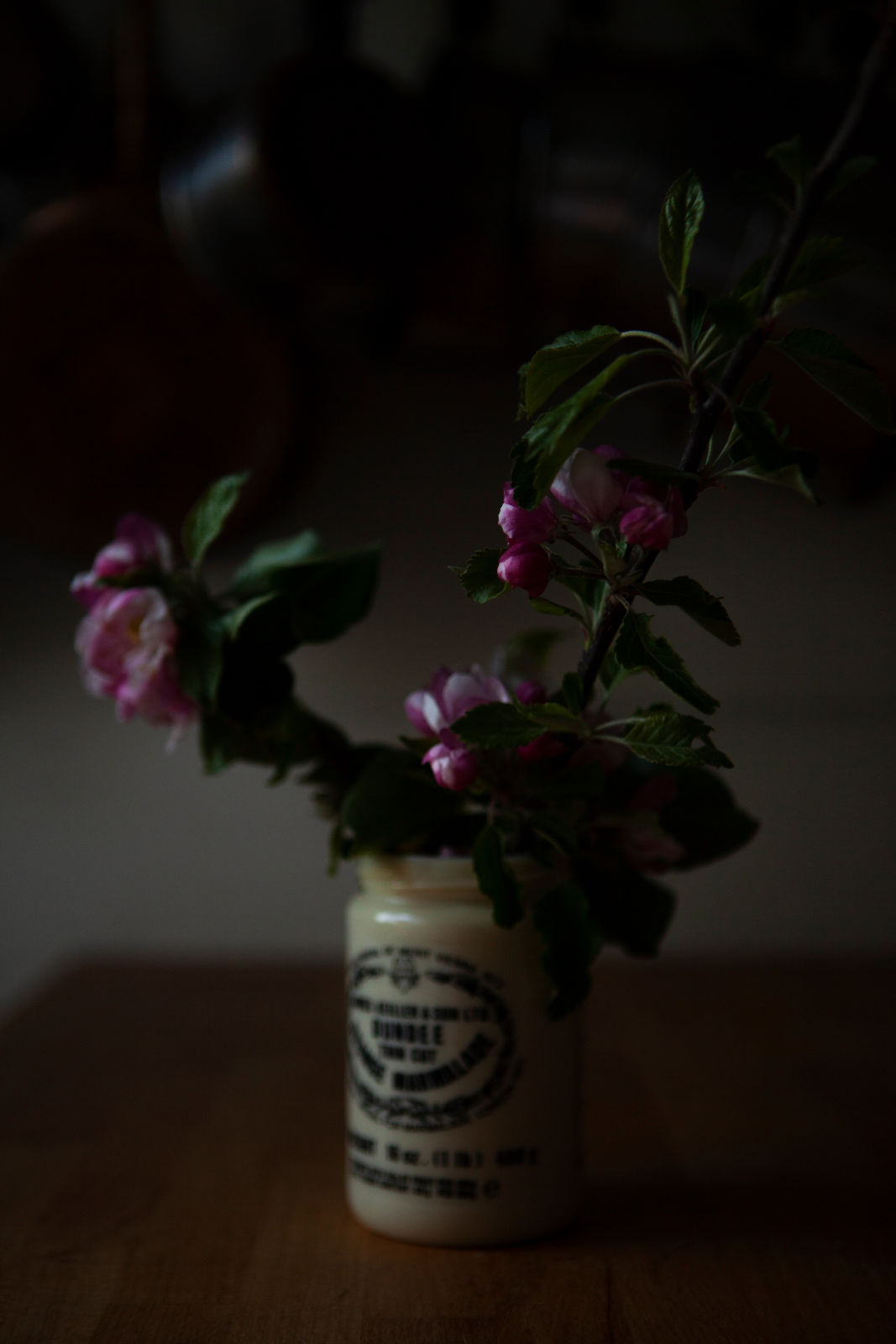 Celine Marchbank, 23rd April, 2020, 2020