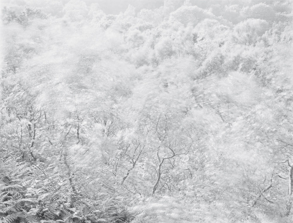 John Blakemore, Wind Series II No. 2, 1981