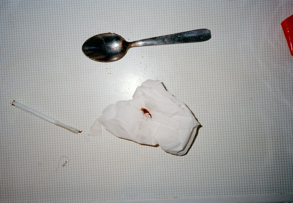 Anna Fox, Cockroach Diary, 1996