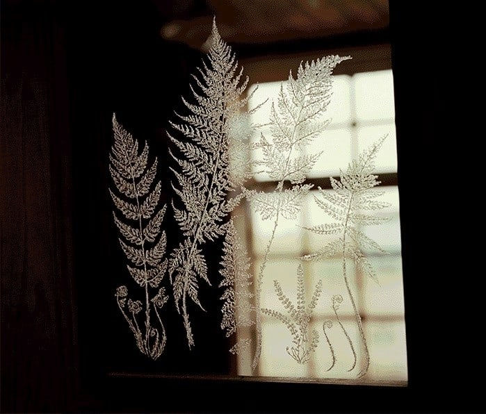 Isaac Julien, Prospect Cottage, 2020