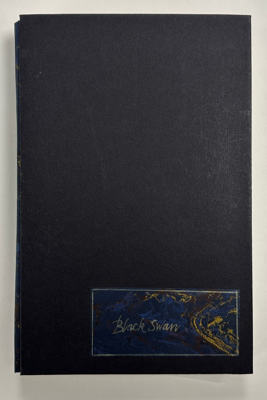 John Blakemore, Black Swan, 2020