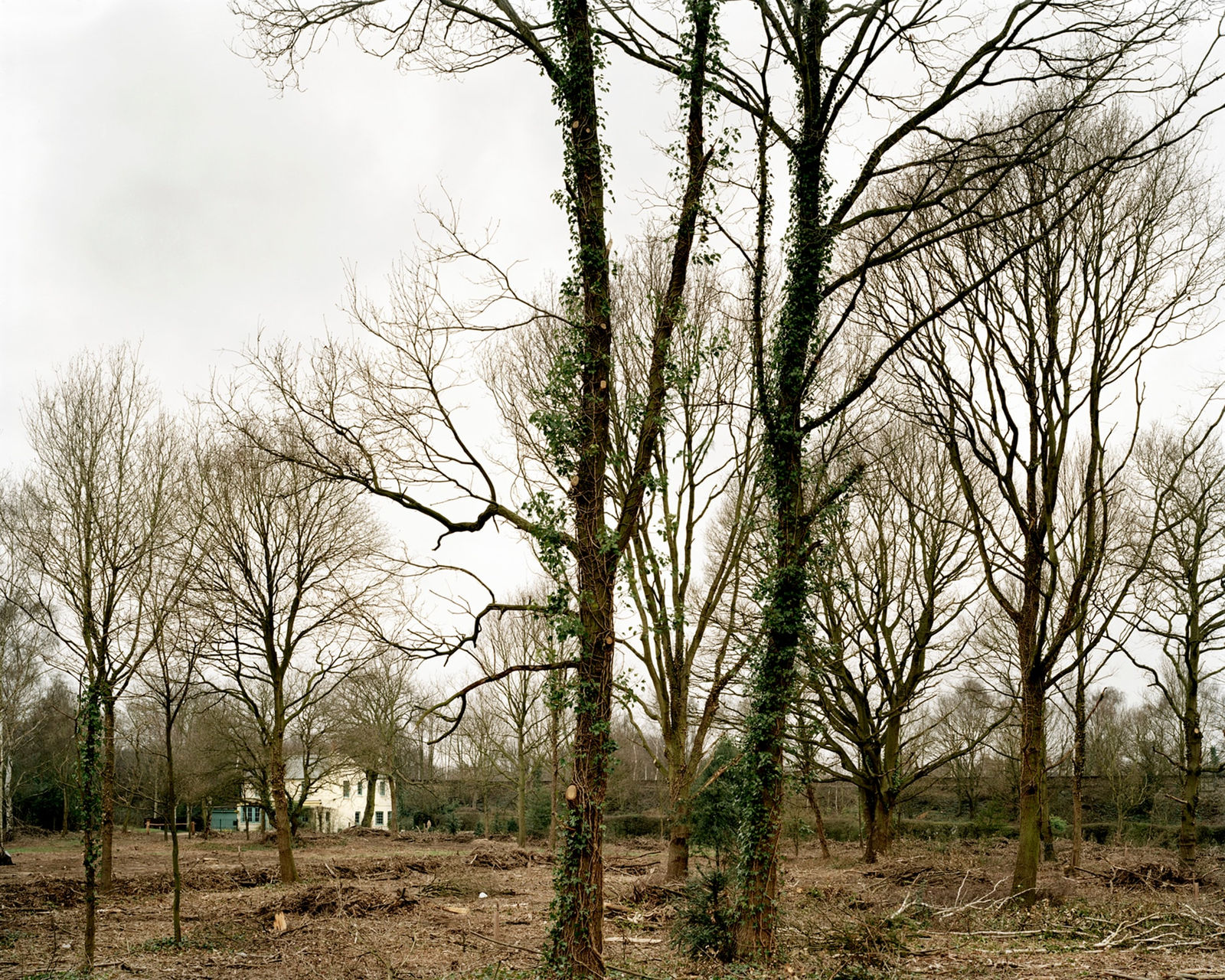 Mark Power, A System of Edges (26 Different Endings) 01 (P133 > S), 2005