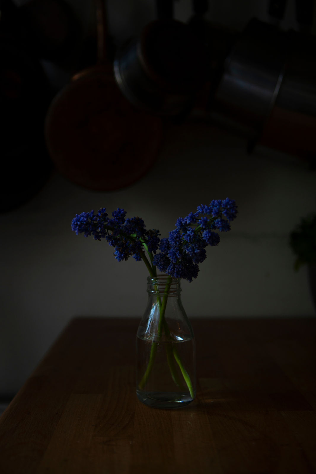 Celine Marchbank, 20th April, 2020, 2020