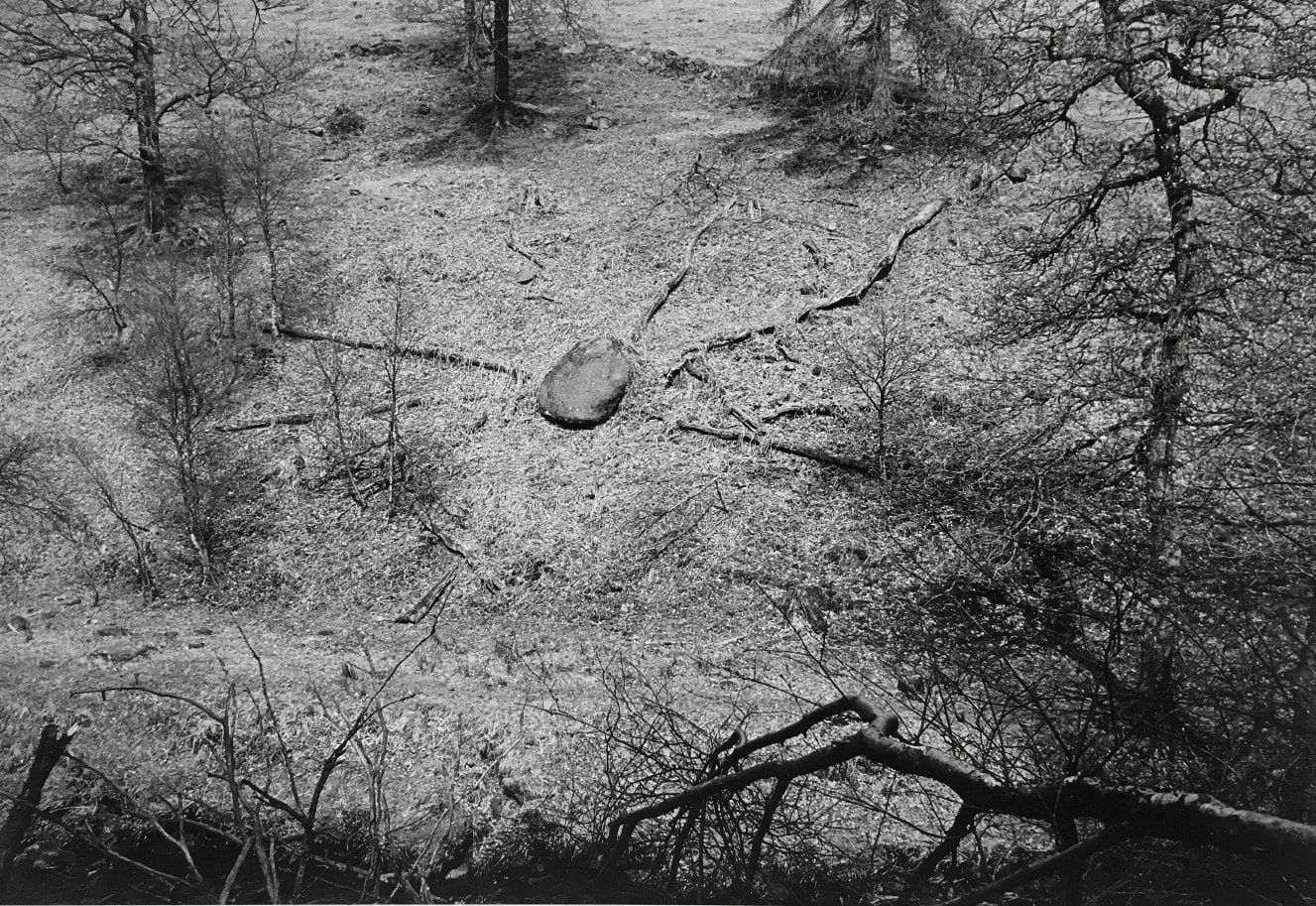 Paul Hill, Stone and Fallen Trees, Gradbach, Derbyshire, 1989-90