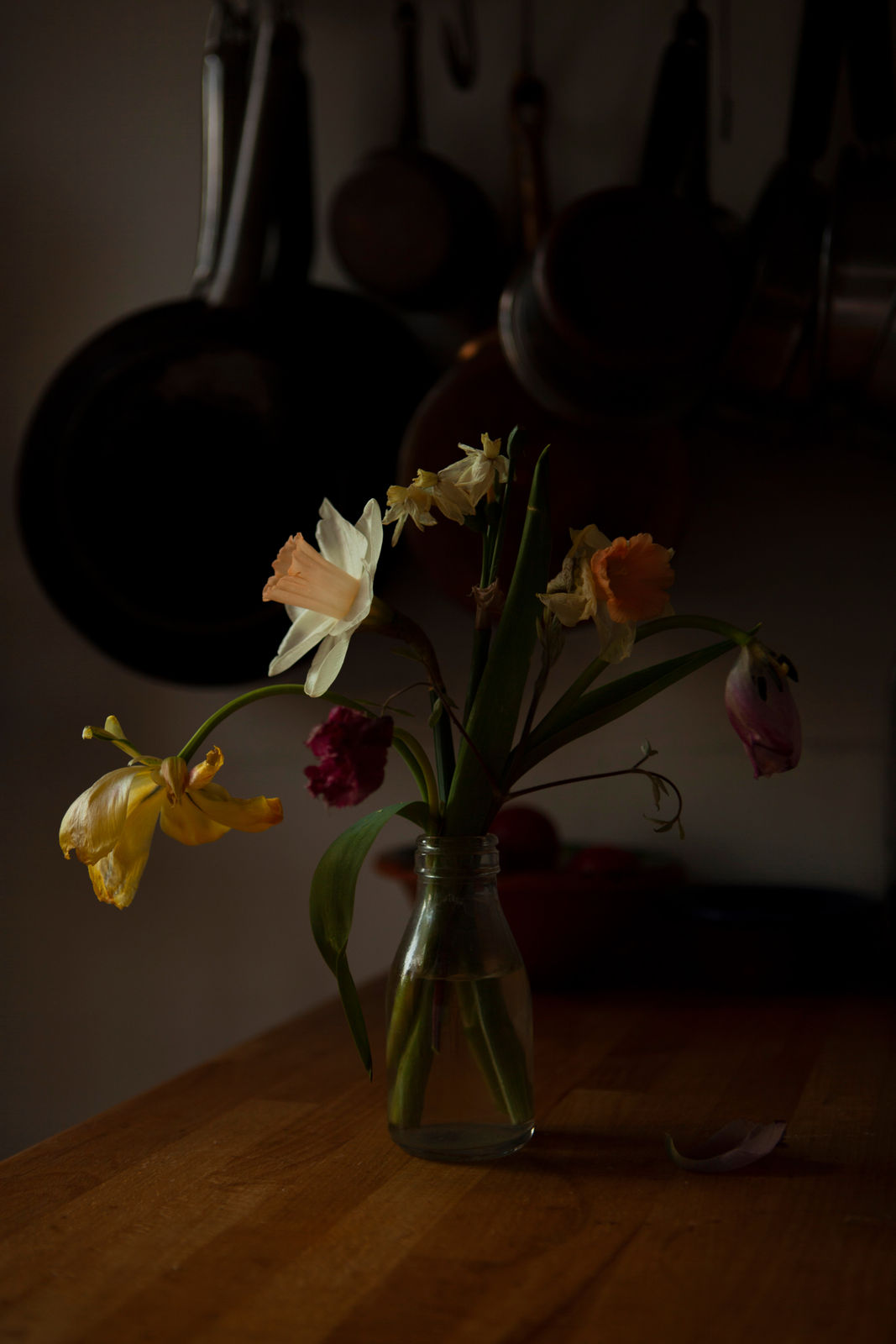 Celine Marchbank, 13th April, 2020, 2020