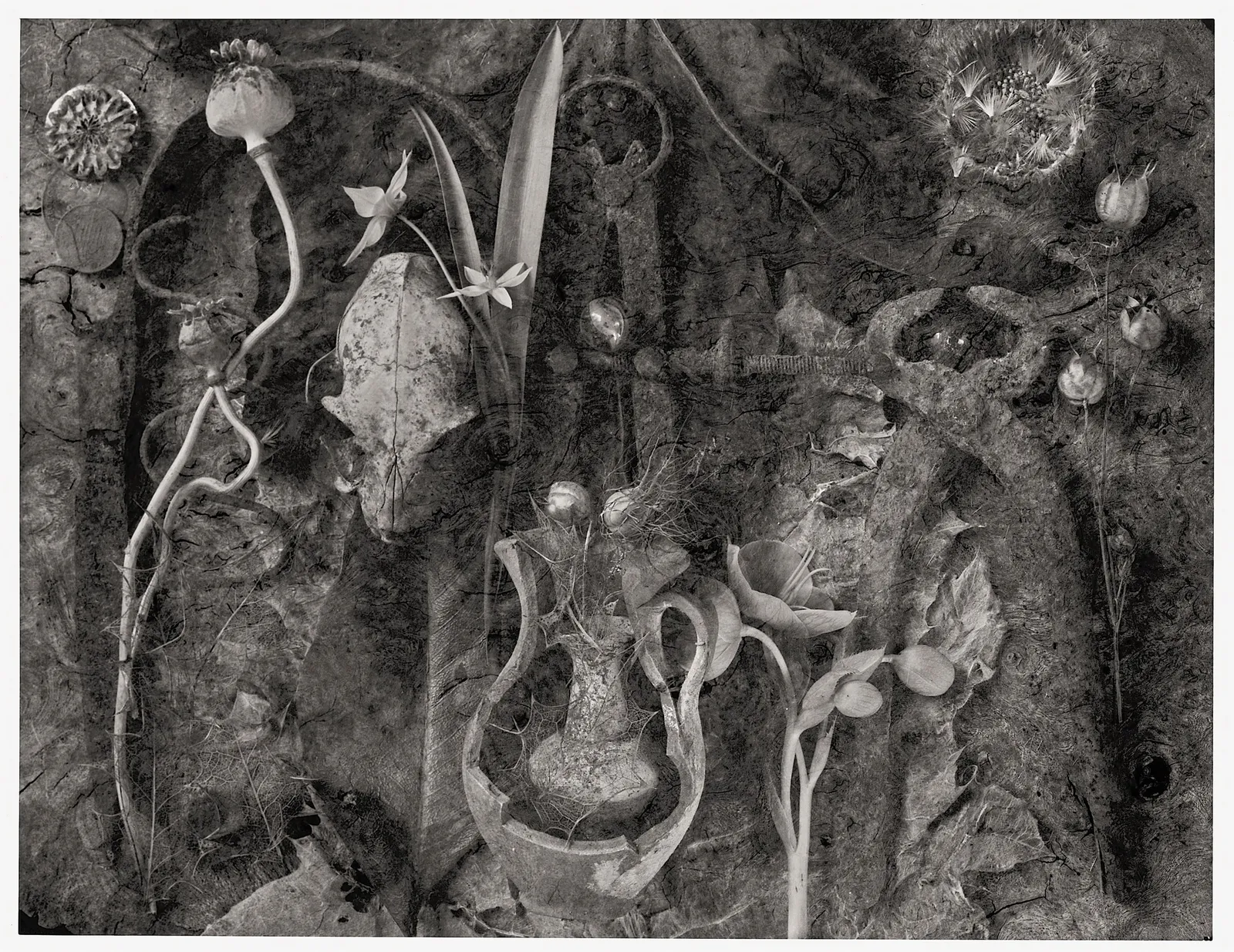 John Blakemore, The Garden - Fragments of a History No.1, 1991