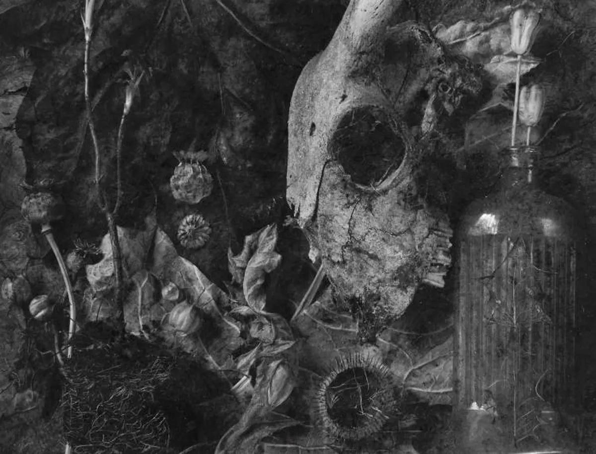 John Blakemore, The Garden - Fragments of a History No.2, 1991