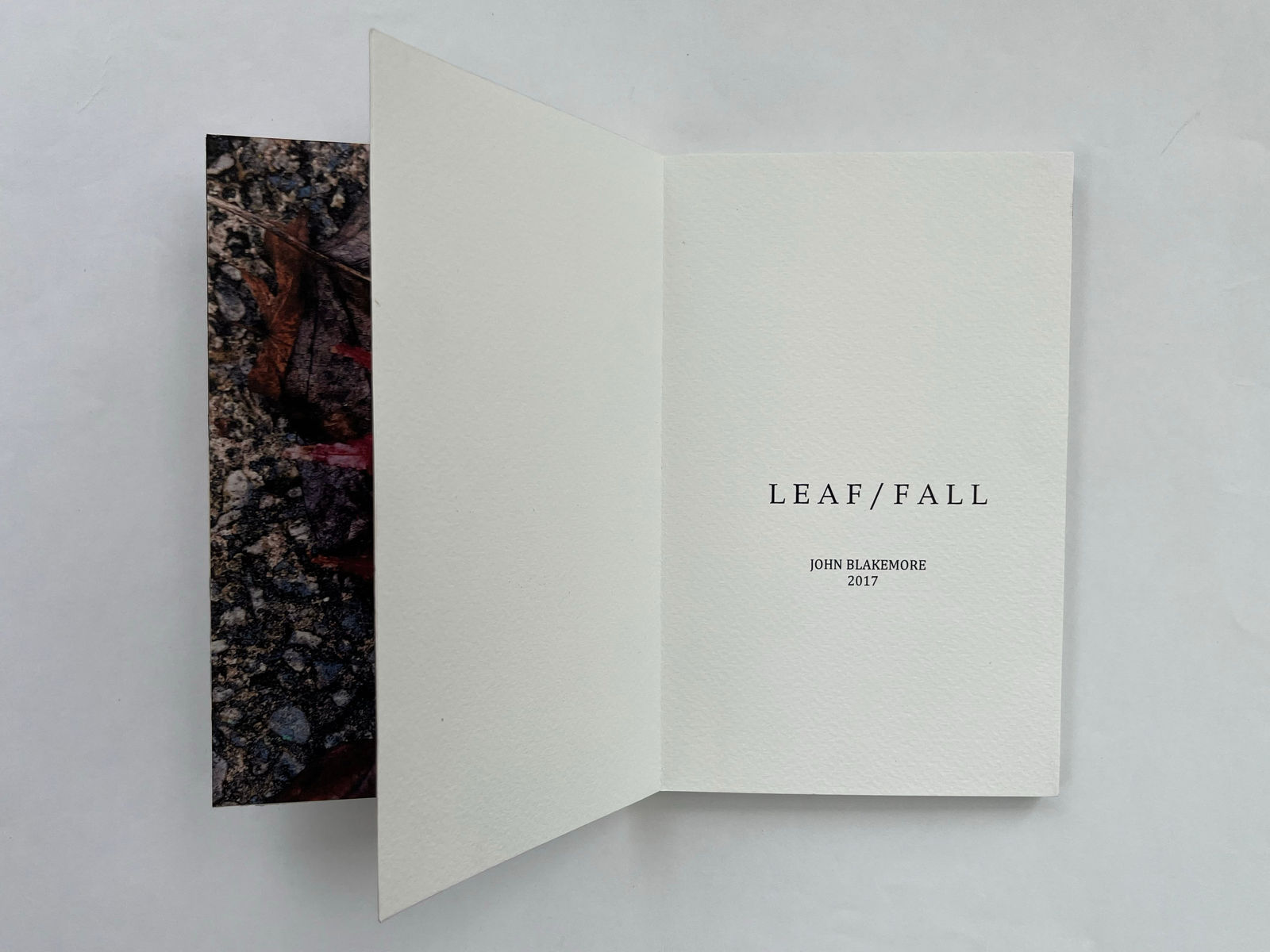 John Blakemore, Leaf / Fall, 2017