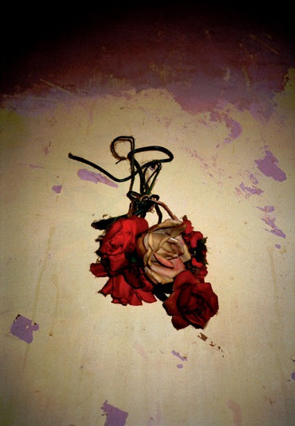 Anna Fox, 41 Hewitt Road (01), 1996-99