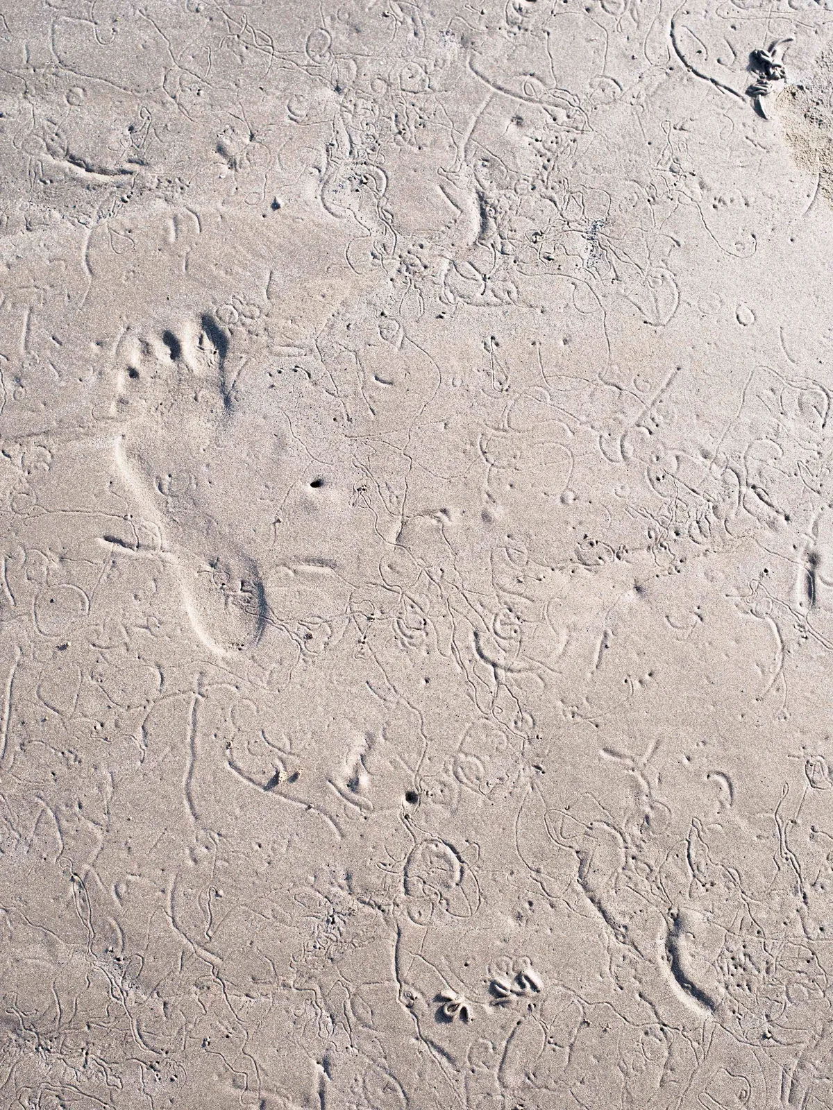 Andy Sewell, Known and Strange Things Pass, 2020