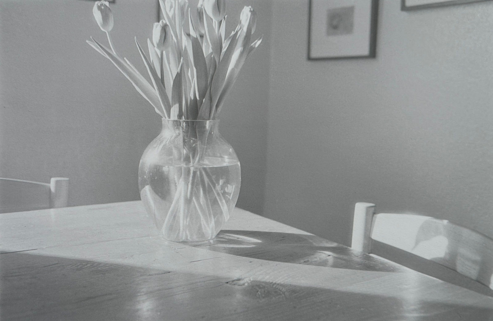 John Blakemore, From the "Kitchen Series", 1988