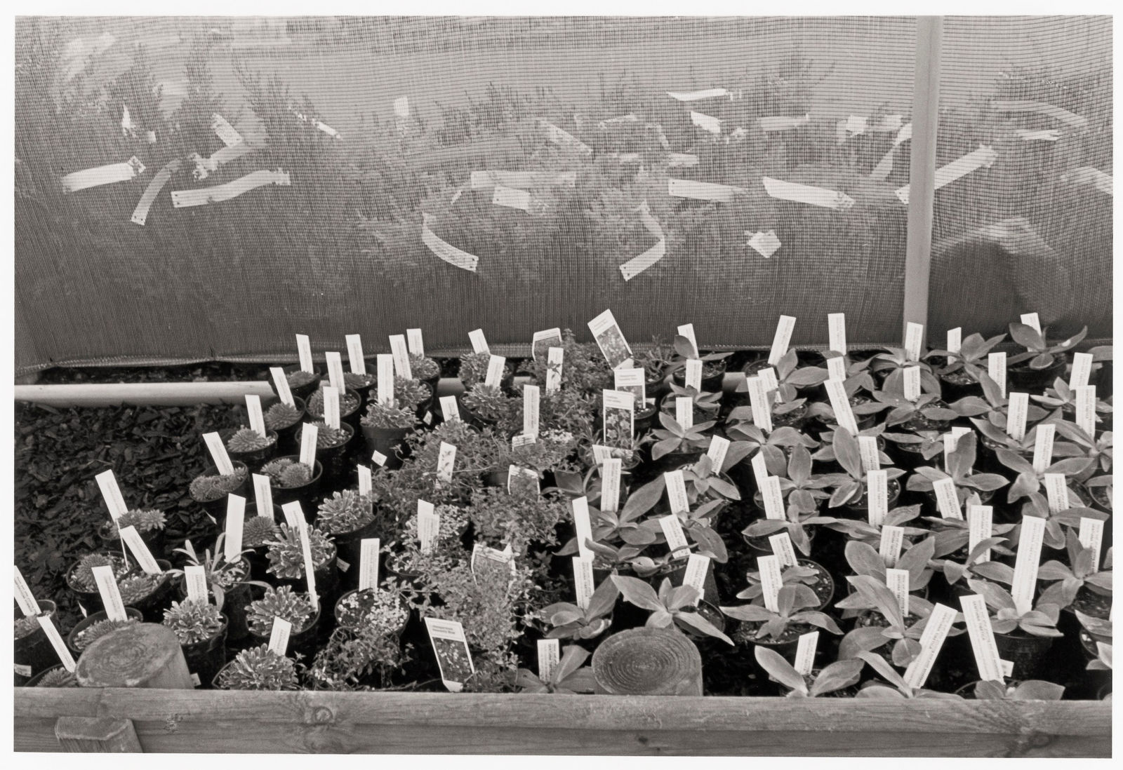 John Blakemore, To Make a Garden, No. 5 (Garden Centres), 1980s