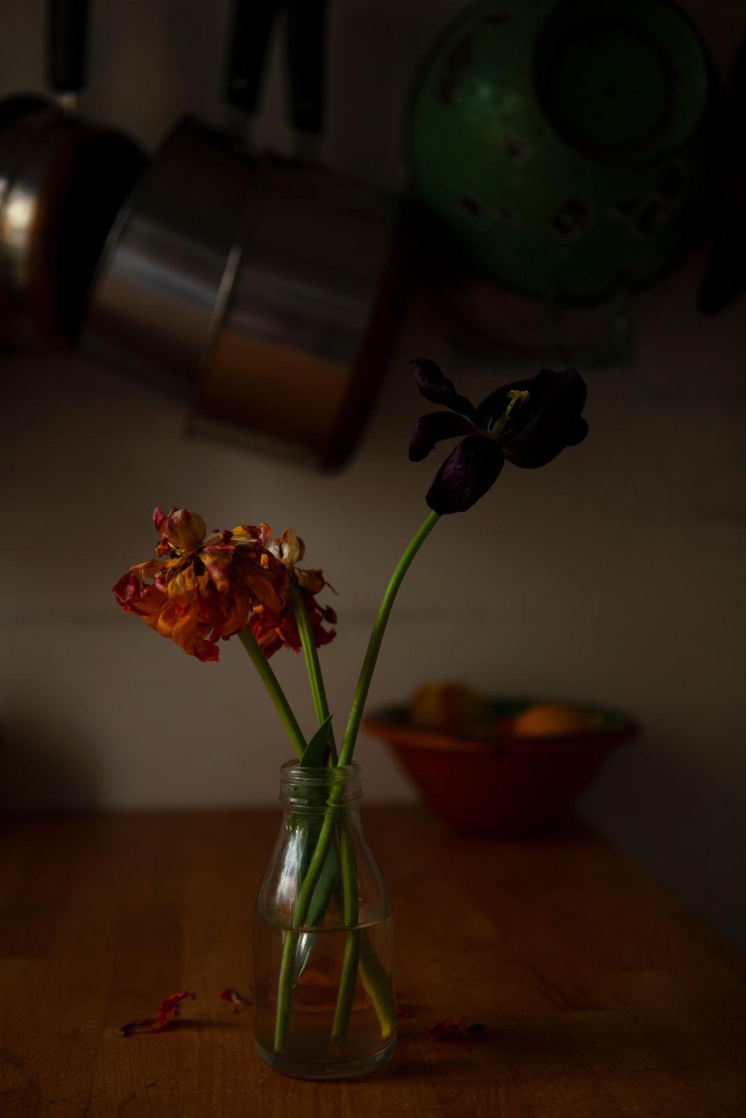 Celine Marchbank, 25th April, 2020 (IV), 2020