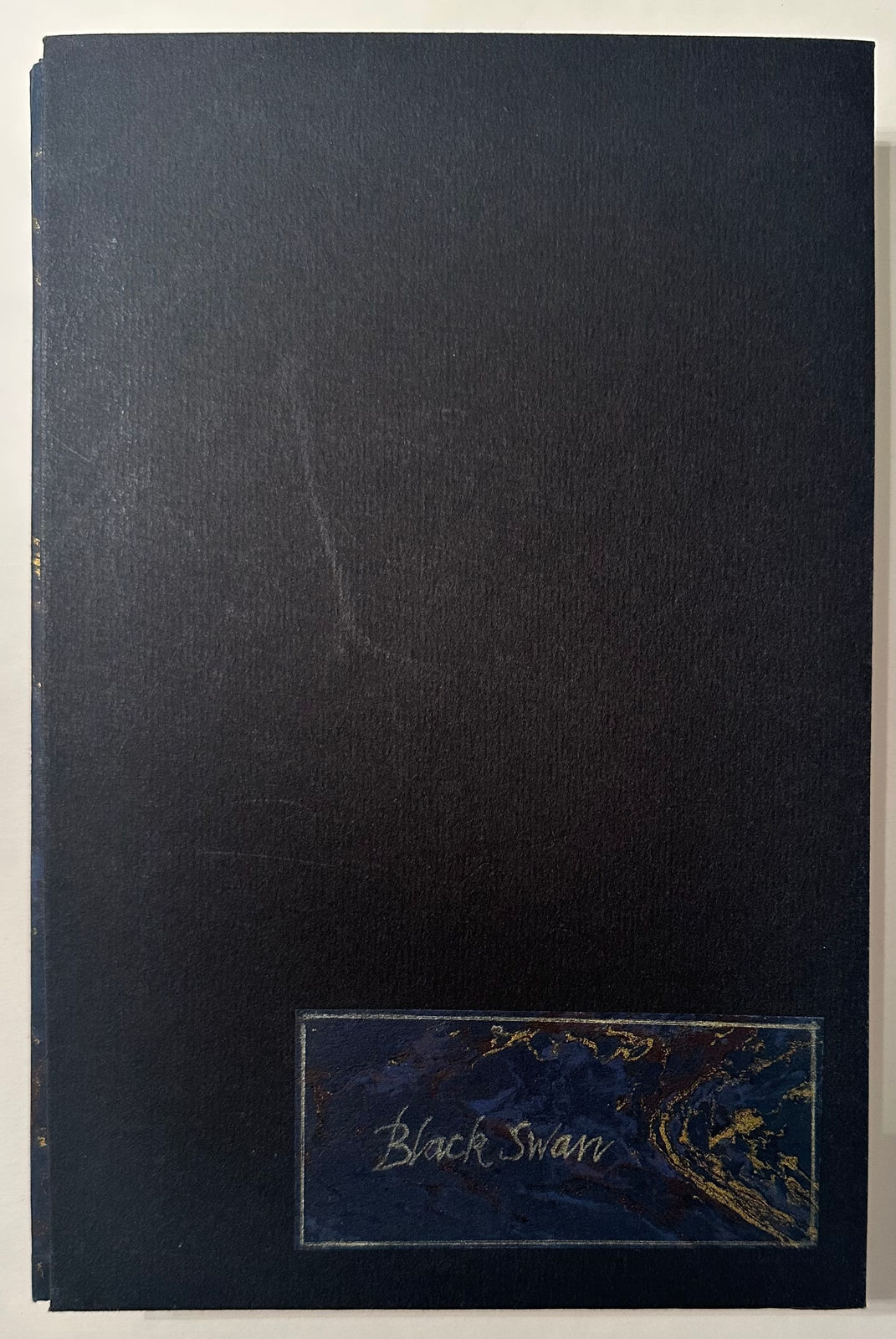 John Blakemore, Black Swan, 2020