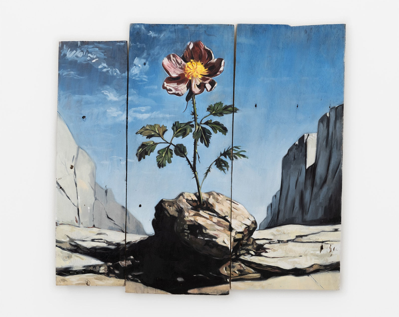 Oliver Clegg, blumenkraft, 2023