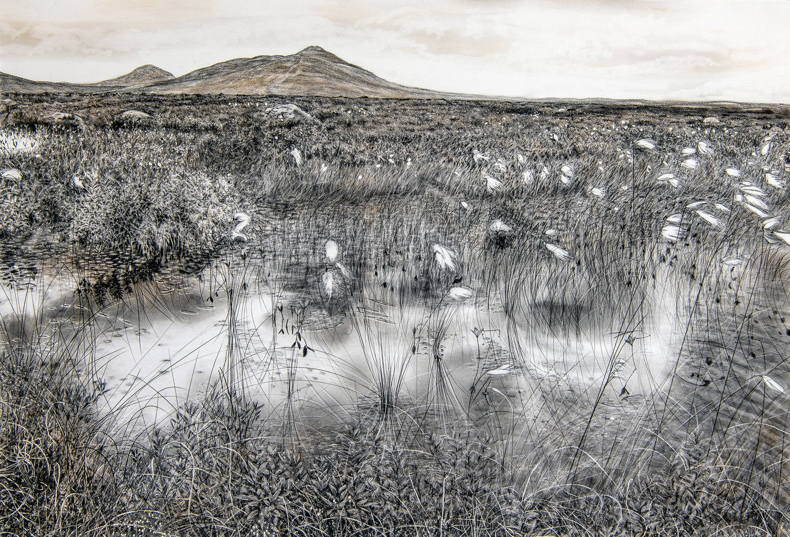 Magi Sinclair, THE DREAMING BOG.