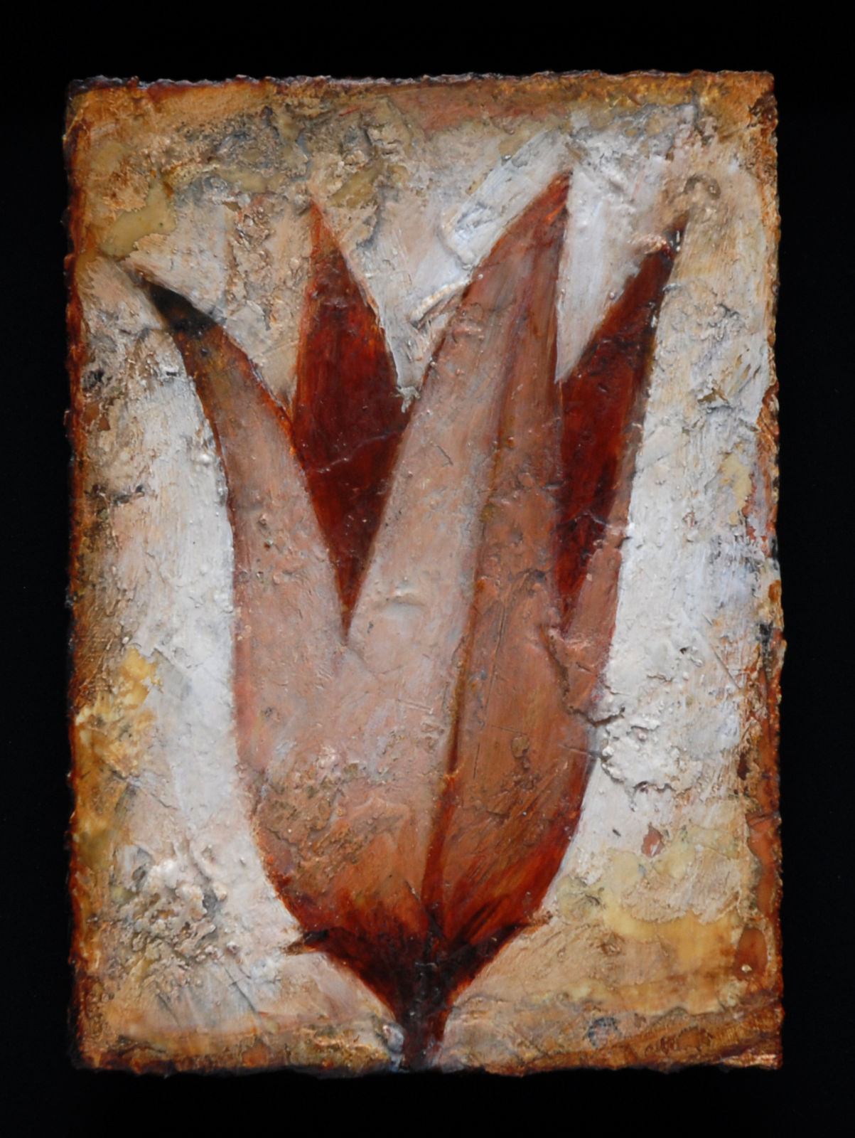 Peter White, Flower !