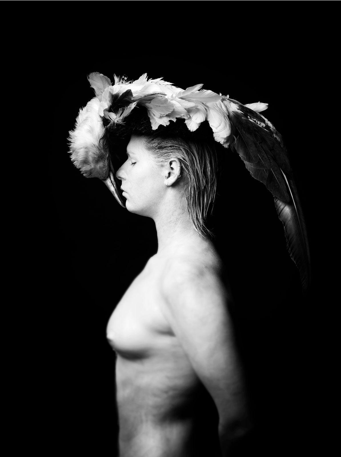 Craig Mackay, Sùlaire I