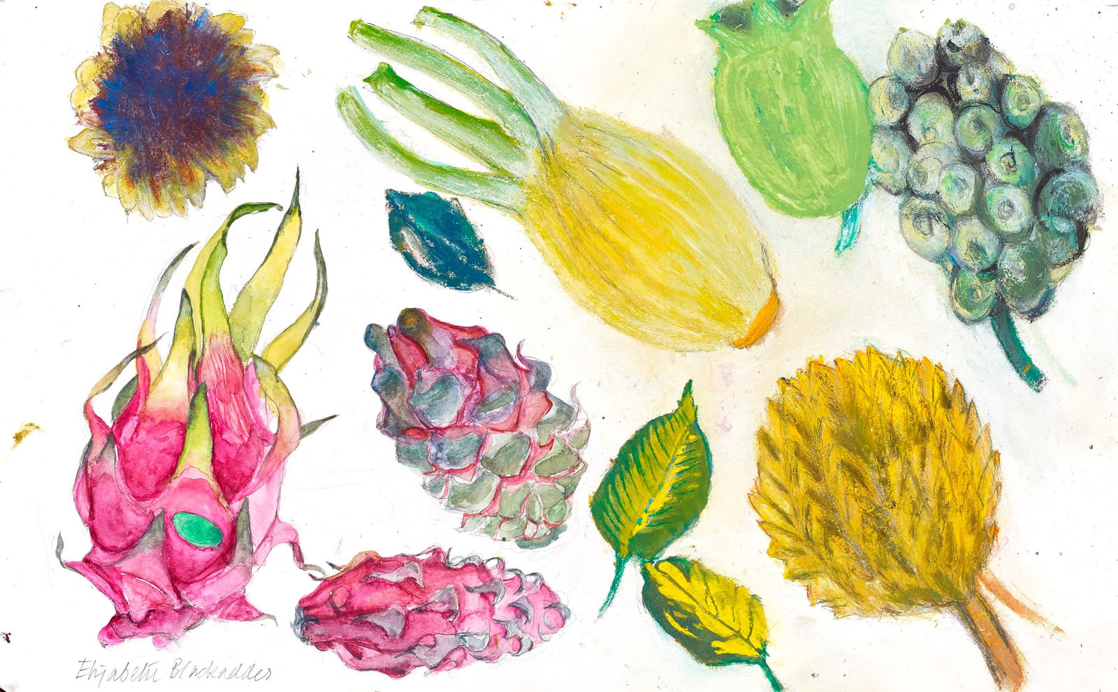 ELIZABETH BLACKADDER, Dragon fruit and fennel