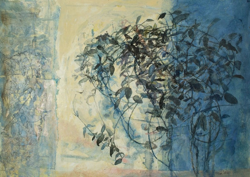 VICTORIA CROWE, Reflected, Silhouetted (Stephanotis)