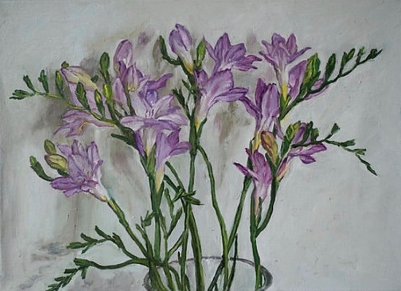 JAMES LLOYD, Freesias (Purple)