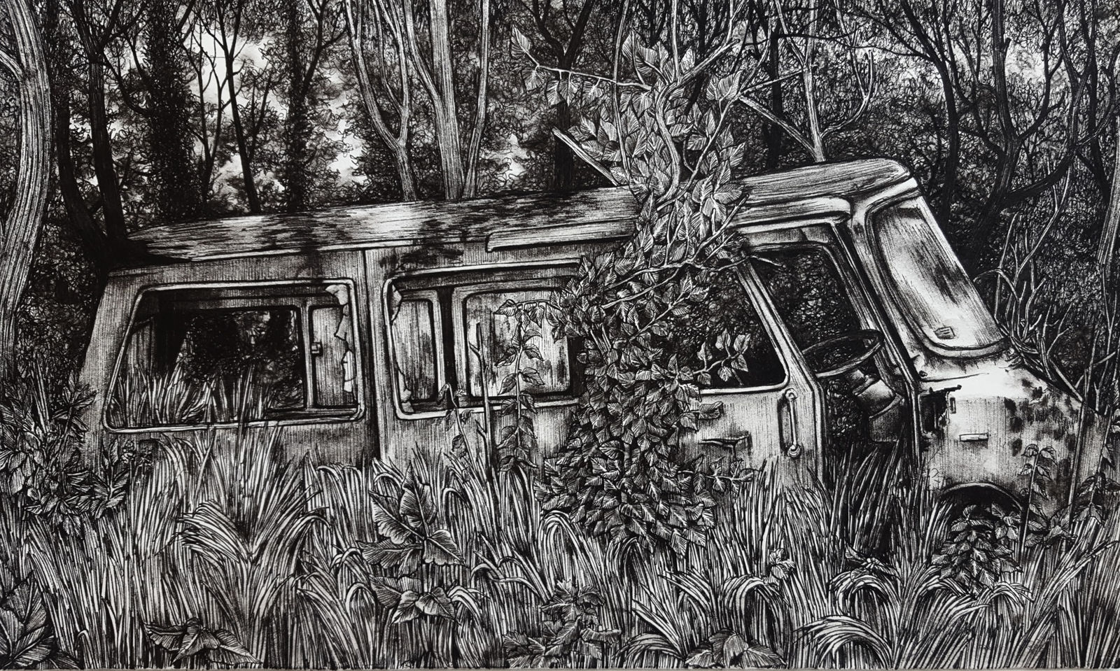 OLIVIA KEMP, Hedgerow