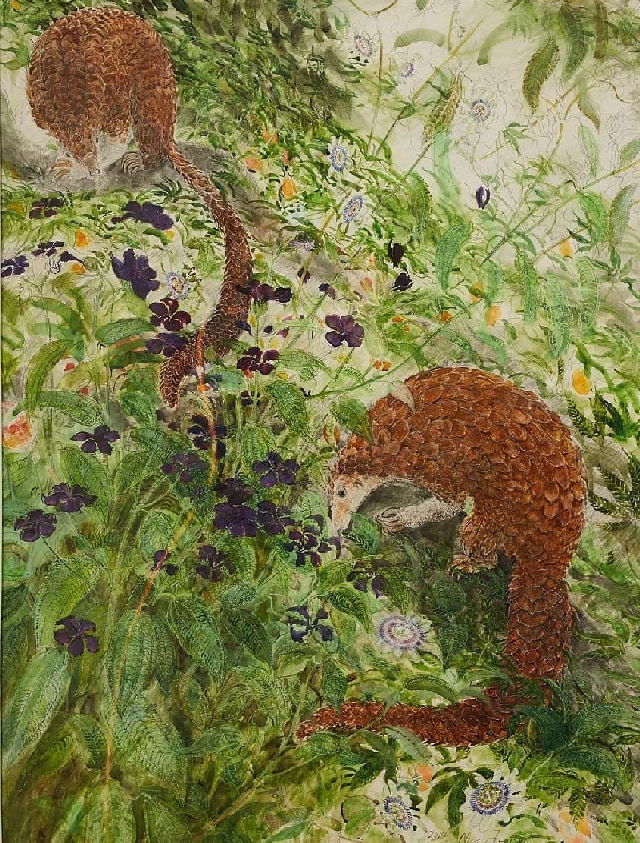 NICHOLAS JOHNSON, Pangolins, 2014