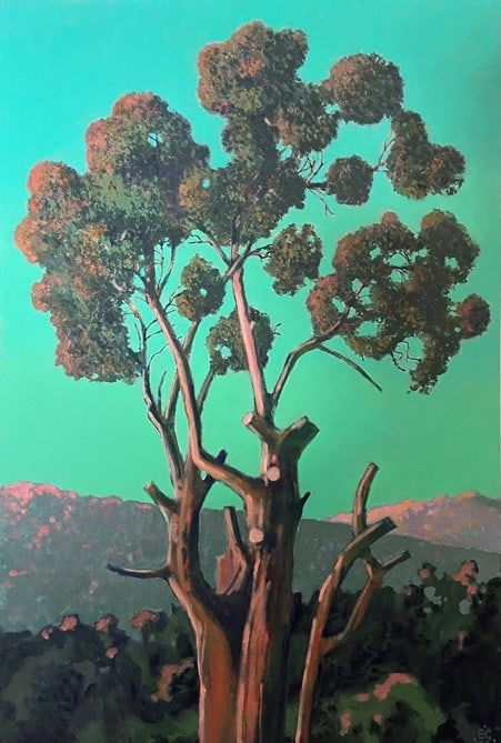 ED GILBERT, Eucalyptus, 2021
