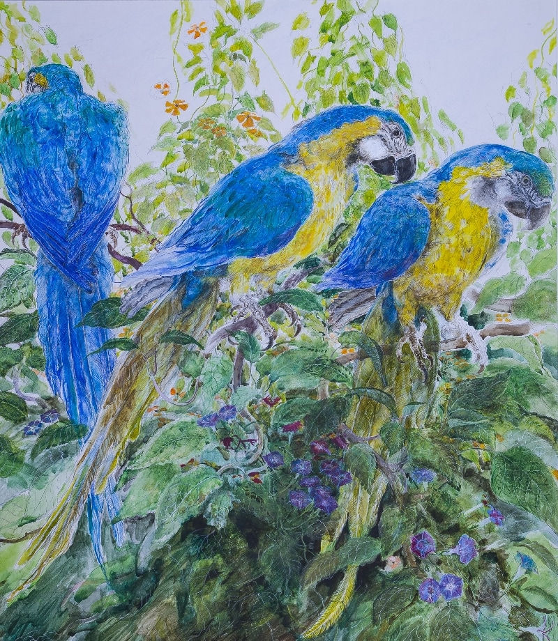 NICHOLAS JOHNSON, Blue Macaws, 2015