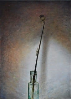 LINDA RYLE, Dried Poppy, 2018