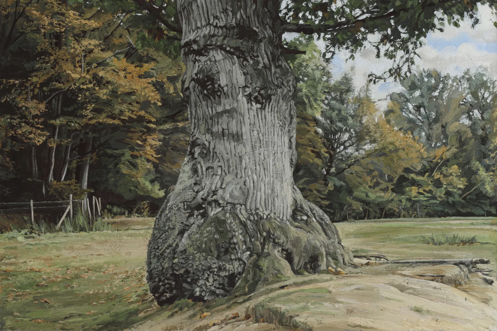 EDMUND CHAMBERLAIN, Old Oak II, 2007