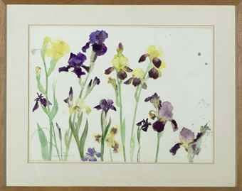 ELIZABETH BLACKADDER, Bearded Irises, Yellow and Purple, 1978
