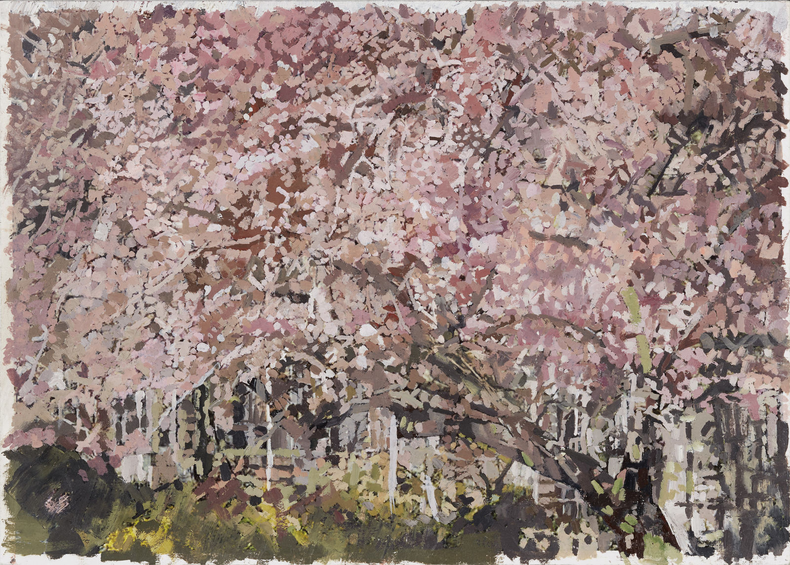 EILEEN HOGAN, Blossom Manchester Square 2, 2020
