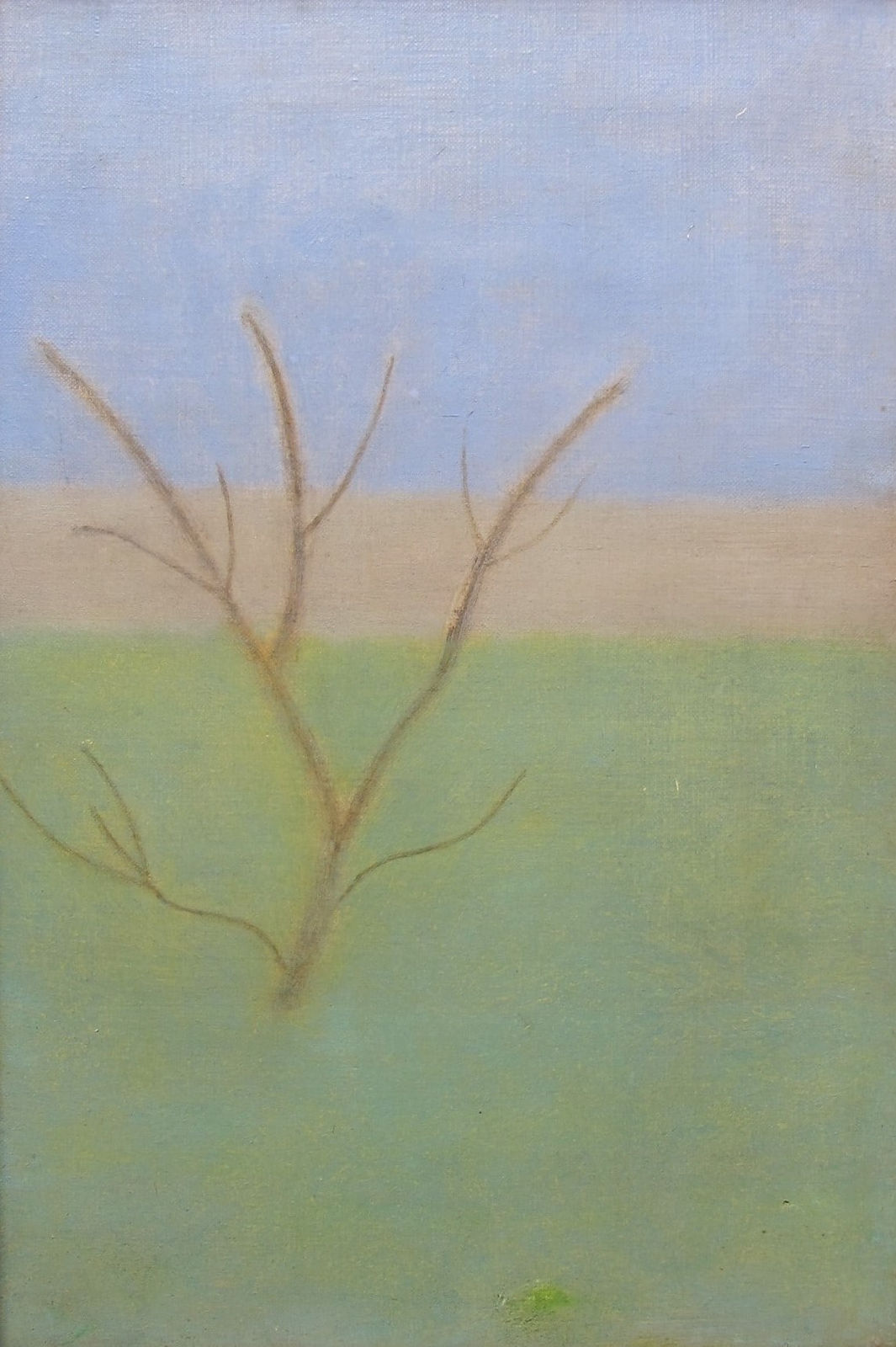 CRAIGIE AITCHISON CBE RA, Garden at Tulliallan