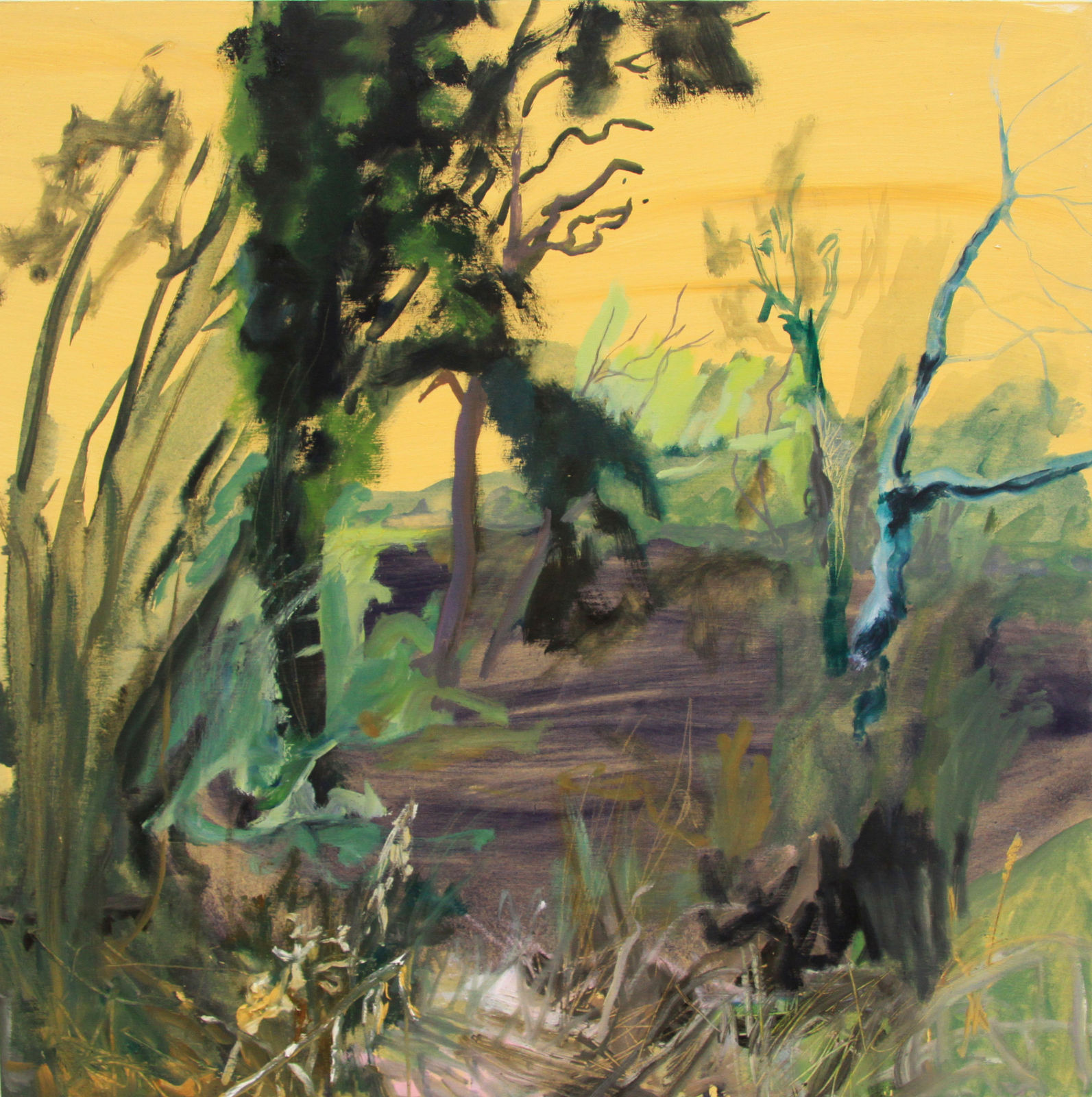 TIMOTHY BETJEMAN, Tree Basin, Pignano, Tuscany I