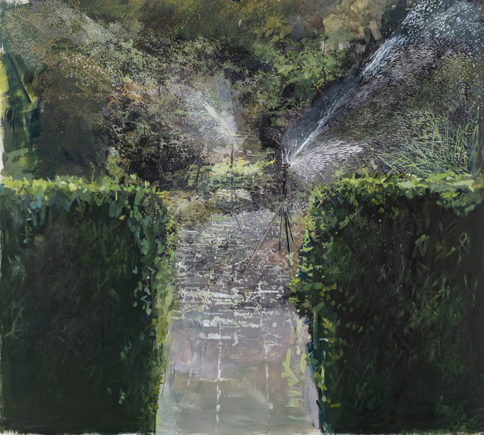 EILEEN HOGAN, Sprinklers Chelsea Physic Garden, 2024